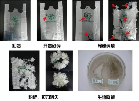 3分钟全面了解让塑料降解速度加快100倍的生态塑料技术！产品