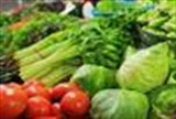 河南1月份蔬菜价格大幅上涨