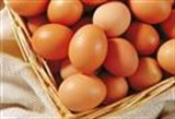 2017年1月13日河南地区鸡蛋价格行情