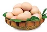 2017年1月10日河南地区鸡蛋价格行情