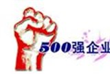 企业首次入选中国500强一次性奖100万元