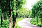 一环一渠一路 郑州已建成生态廊道3588公里