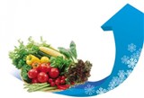 郑州蔬菜价格飙升 与去年同期相比普遍翻倍