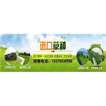 深圳市哪里有卖画眉草种子