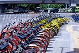 共享单车市场竞争趋于白热化  ofo新增活跃用户行业第一