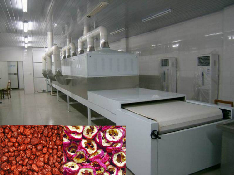 供应隧道式微波杂粮干燥机 小型输送带式花生熟化设备