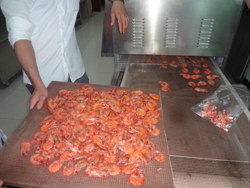 大虾烘烤机 隧道式微波烤虾设备价格低质量好